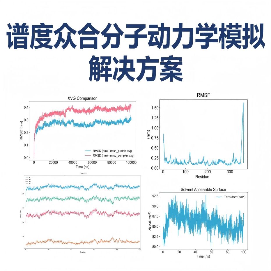 谱度众合分子动力学模拟产品助力药物研发