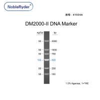 DM2000-II DNA Marker（100-2000bp）