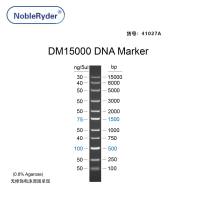 DM15000 DNA Marker(100-15000bp)