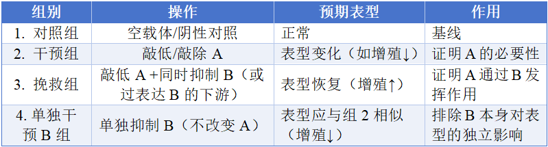 Rescue实验老做不好？可能是你“救”的方式不对