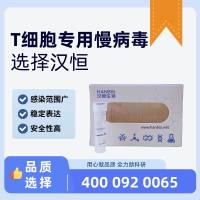 T细胞专用慢病毒[HB-LV-ST]