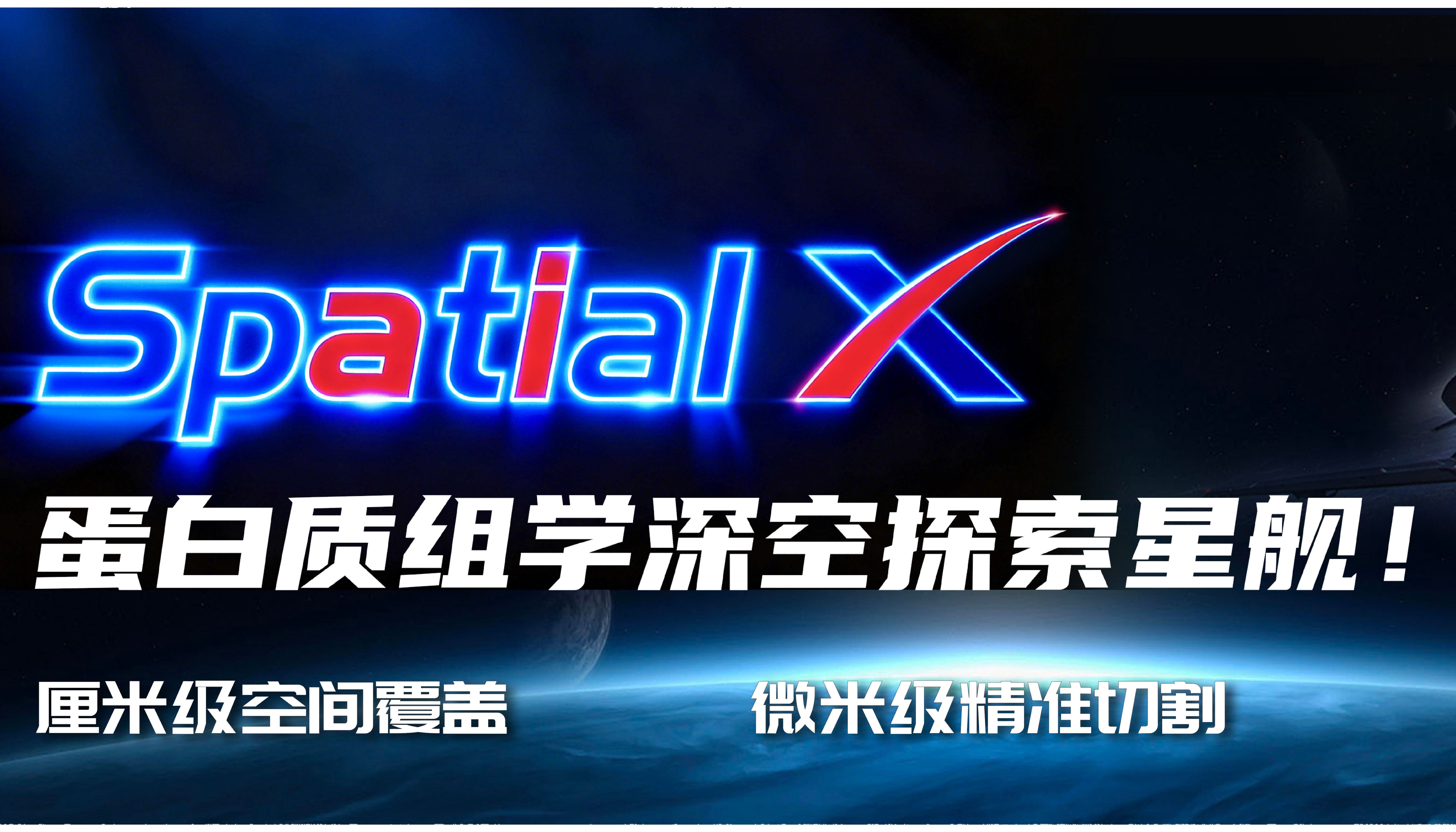 全景洞察 | Spatial X全息蛋白组突破视野局限，重绘时空蛋白新地图