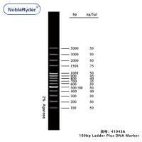 100bp Ladder Plus DNA Marker (100-5000bp,three colors)