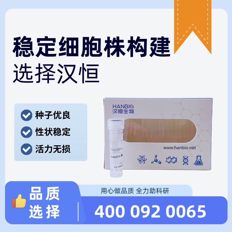 稳定细胞株构建[HB-LV-ST]产品图