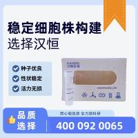 稳定细胞株构建[HB-LV-ST]