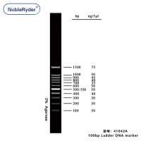 100bp Ladder DNA marker (100-1500bp,three colors)