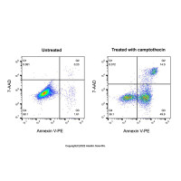 Annexin V-PE/7-AAD 细胞凋亡检测试剂盒,适用于免疫荧光(IF), BioReagent, 即用型, 生物染色剂, 用于显微镜,阿拉丁