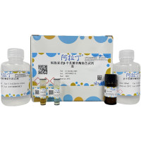 细胞衰老β-半乳糖苷酶染色试剂盒，BioReagent, 用于显微镜，阿拉丁