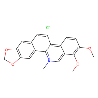 氯化白屈菜红碱,3895-92-9,10mM in DMSO,阿拉丁