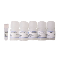 LabFect Lipofect5000 transfection reagent产品图