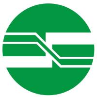 CRISPR基因敲除细胞构建