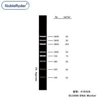 DL5000 DNA Marker(100-5000bp,three colors)