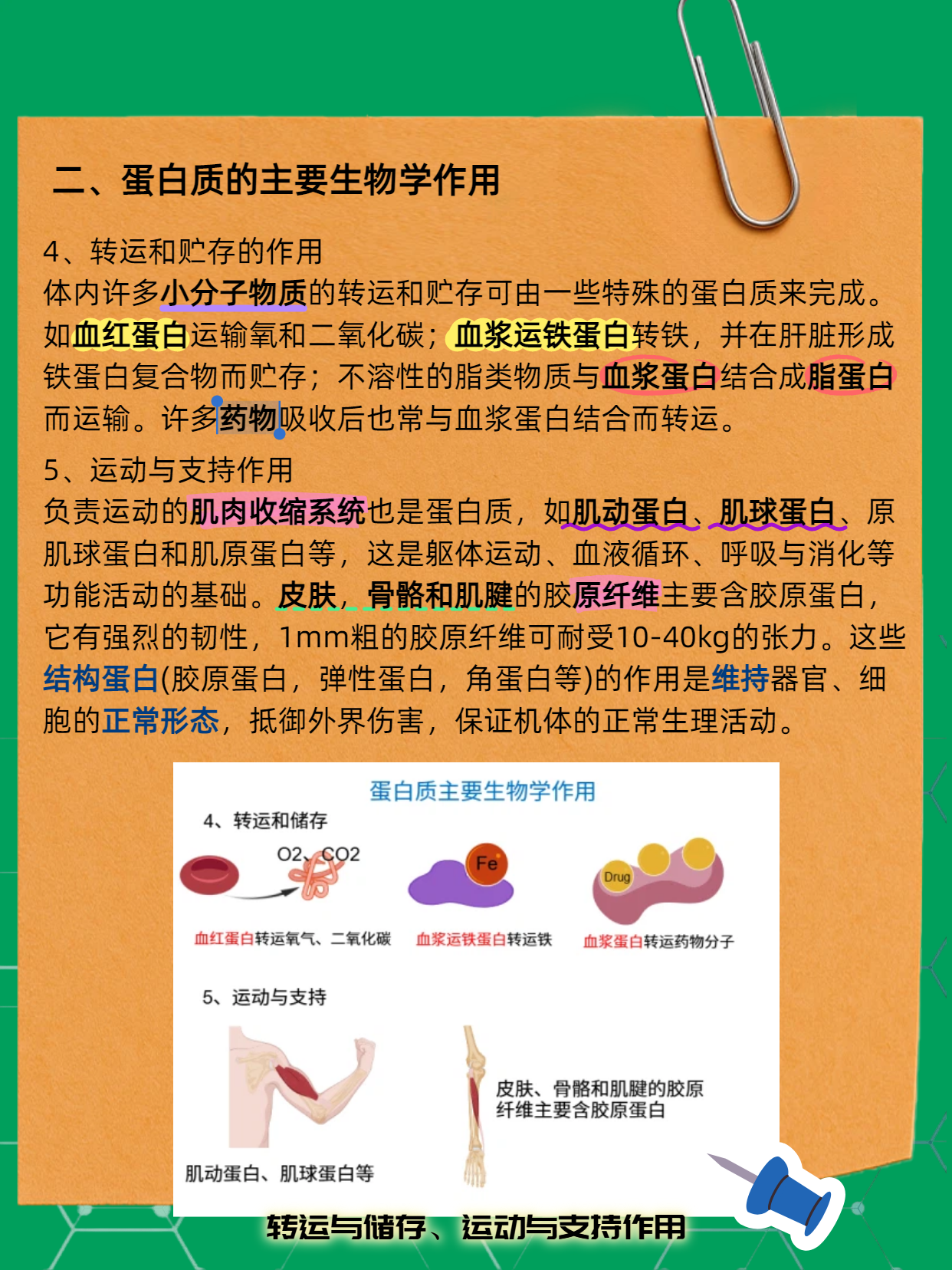 技术资料图片5