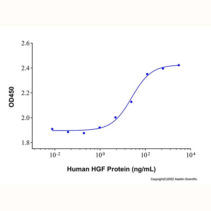 Recombinant Human HGF Protein,无动物源,无载体,生物活性,ActiBioPure™,高性能,His标签,PBS Only,≥95%(SDS-PAGE),阿拉丁产品图