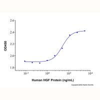 Recombinant Human HGF Protein,无动物源,无载体,生物活性,ActiBioPure™,高性能,His标签,PBS Only,≥95%(SDS-PAGE),阿拉丁