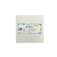 硝酸纤维素膜 (NC),BioReagent, for Northern and Southern blotting, for western blot, 孔径: 0.45 (μm),尺寸: 100x100mm,阿拉丁