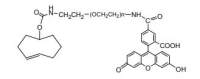 TCO PEG Fluorescein, TCO-PEG-FITC,MW 5000 Da,阿拉丁