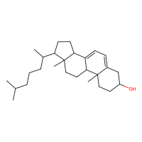 7-脱氢胆固醇,434-16-2,10mM in DMSO,阿拉丁