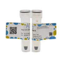 Anti-V5 纳米抗体磁珠，BioReagent, Magnetic Bead Content: ≥10 mg/mL; Bead Diameter: 2 μm，阿拉丁