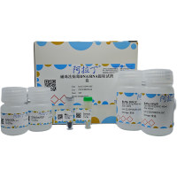 磁珠法病毒DNA/RNA提取试剂盒，BioReagent, for DNA and RNA applications，阿拉丁