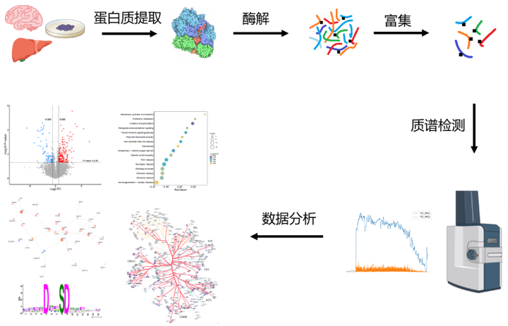 产品细节图片2