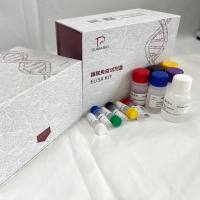 猪(Porcine)白介素1受体II(IL-1R2)ELISA检测试剂盒