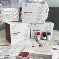 猪(Porcine)趋化因子C-C-基元配体1(CCL1)ELISA检测试剂盒