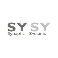 Synaptic membrane lysate