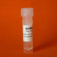 标准葡萄糖溶液(10mg/ml)