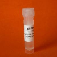 标准葡萄糖溶液(50mg/ml)
