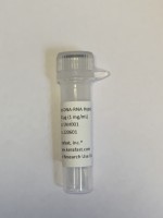 Kerafast抗体Anti-DNA-RNA Hybrid [S9.6] Antibody