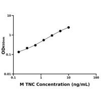 小鼠肌腱蛋白C(TNC)ELISA试剂盒