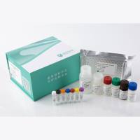 科研端专享—HyResearch系列 慢病毒滴度（HIV-1 p24）检测试剂盒（酶联免疫吸附法）
