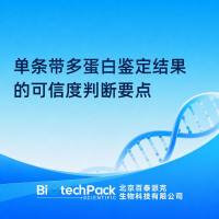 单条带多蛋白鉴定结果的可信度判断要点