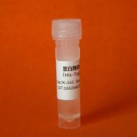 标准葡萄糖溶液(1mg/ml)