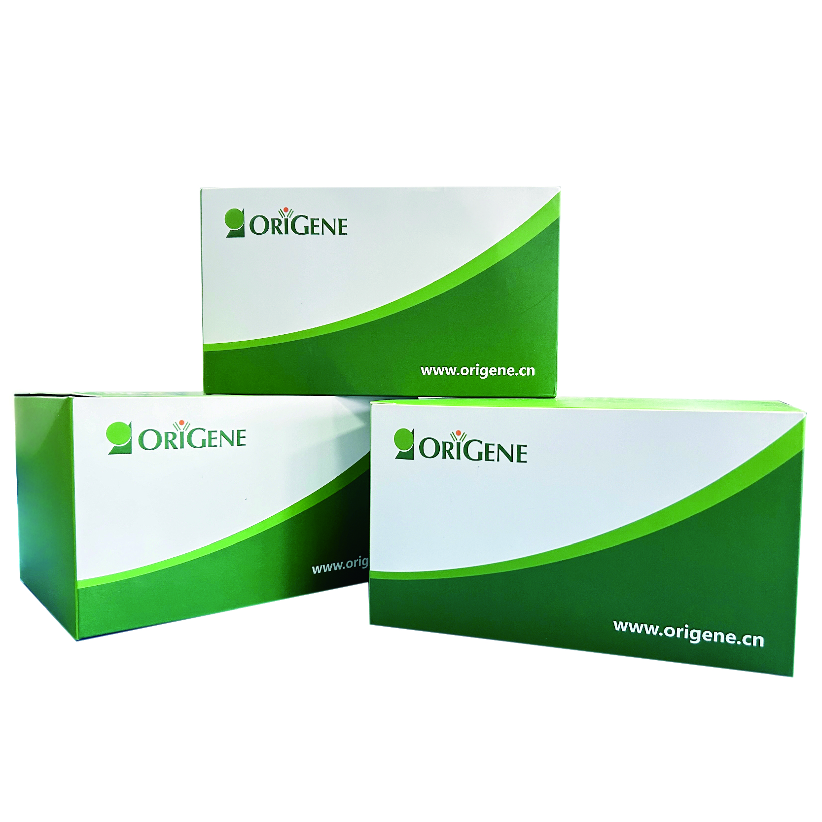 siTran 2.0 siRNA transfection reagent 产品图
