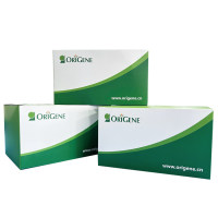 siTran 2.0 siRNA transfection reagent