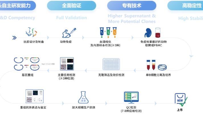 斯达特S-RMab® 重组兔单抗，伴随诊断CDx赋能新药研发