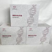 猪(Porcine)表面膜免疫球蛋白D(mIgD)ELISA检测试剂盒