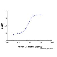 Recombinant Human LIF Protein，无载体, 生物
