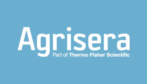 Agrisera Antibodies —— 植物科学研究的"抗体守护者"