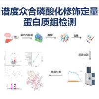谱度众合磷酸化修饰定量蛋白质组检测分析