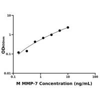 小鼠基质金属蛋白酶7(MMP-7)ELISA试剂盒