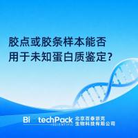 胶点或胶条样本能否用于未知蛋白质鉴定？