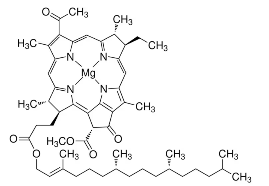 菌叶绿素 来源于球形红假单胞菌,17499-98-8,≥95%,阿拉丁产品图