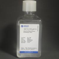 SDS溶液(20%,RNase free)