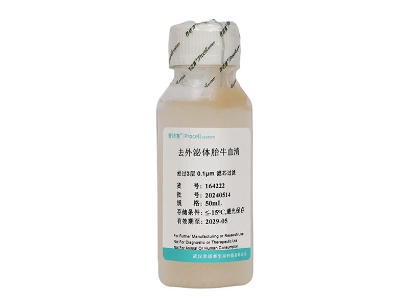 告别“背景干扰”焦虑：普诺赛高效去外泌体胎牛血清，为精准实验减负