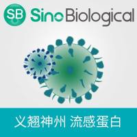 重组Influenza A H3N2 HA trimer蛋白(His标签), 41128-V08B