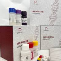猪（Porcine）血栓素B2(TXB2)ELISA检测试剂盒