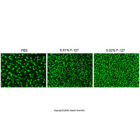 通透性提高剂Pluronic F-127 (10% in H₂O),9003-11-6,BioReagent,适用于荧光分析,用于细胞培养,无菌,10%,阿拉丁